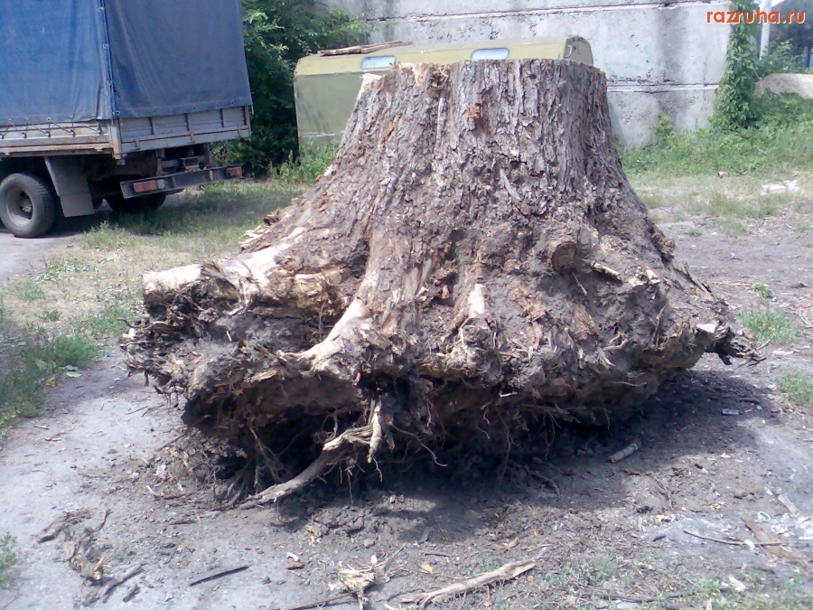 Курск - Пень