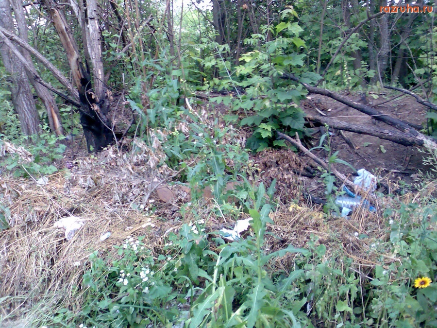 Курск - Мусор на кладбище