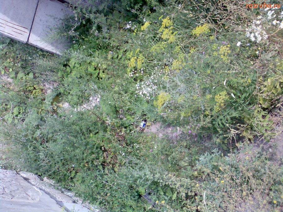 Курск - Недостроенные гаражи.