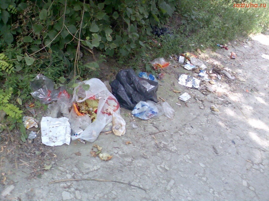 Курск - Загаженное место.