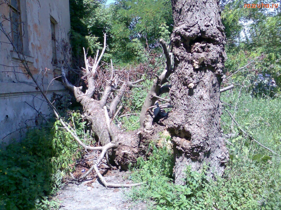 Курск - Спилили...