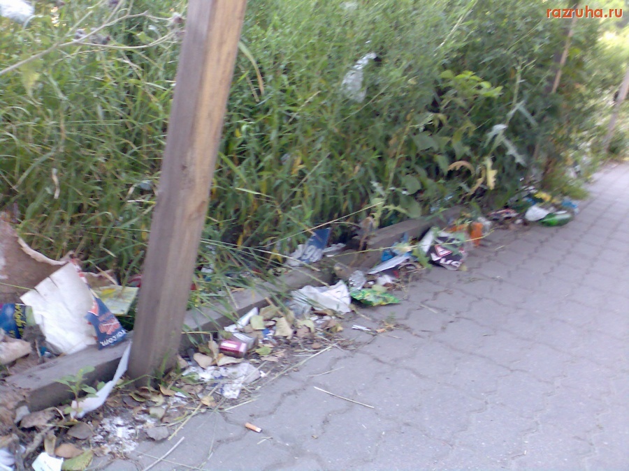 Курск - Тротуар на Садовой.