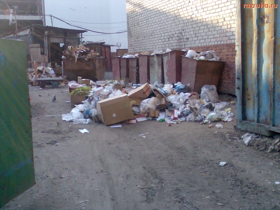 Курск - Помойка на рынке