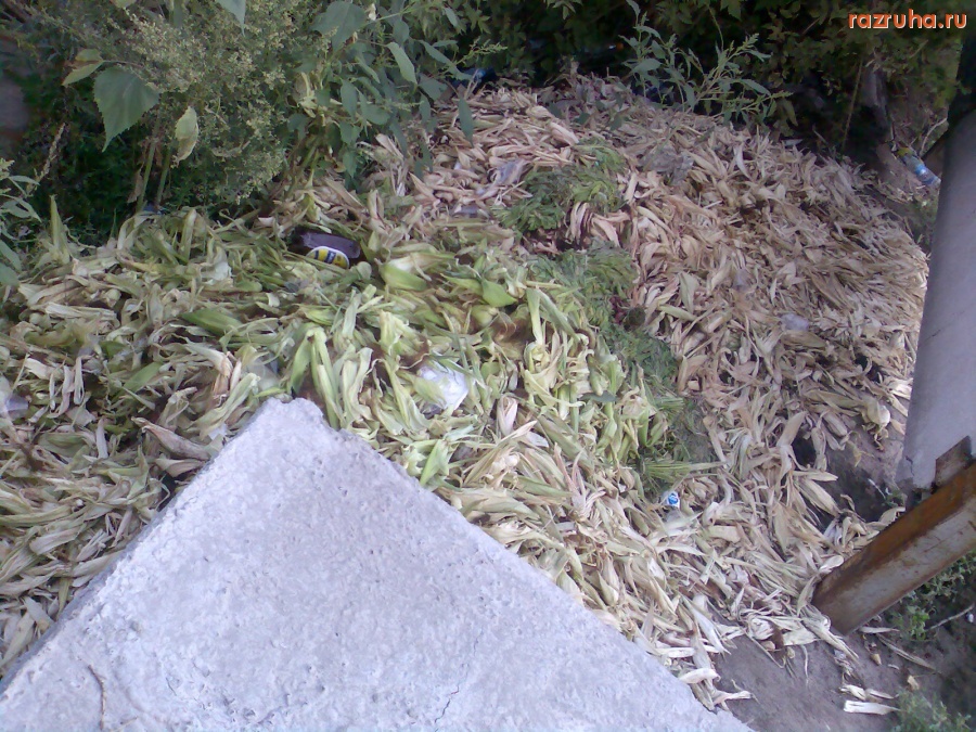 Курск - У Черняховского рынка