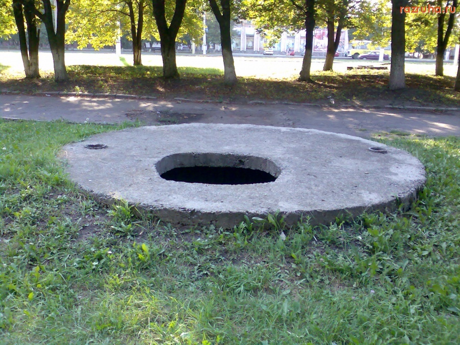 Курск - Люк, в котором растут деревья