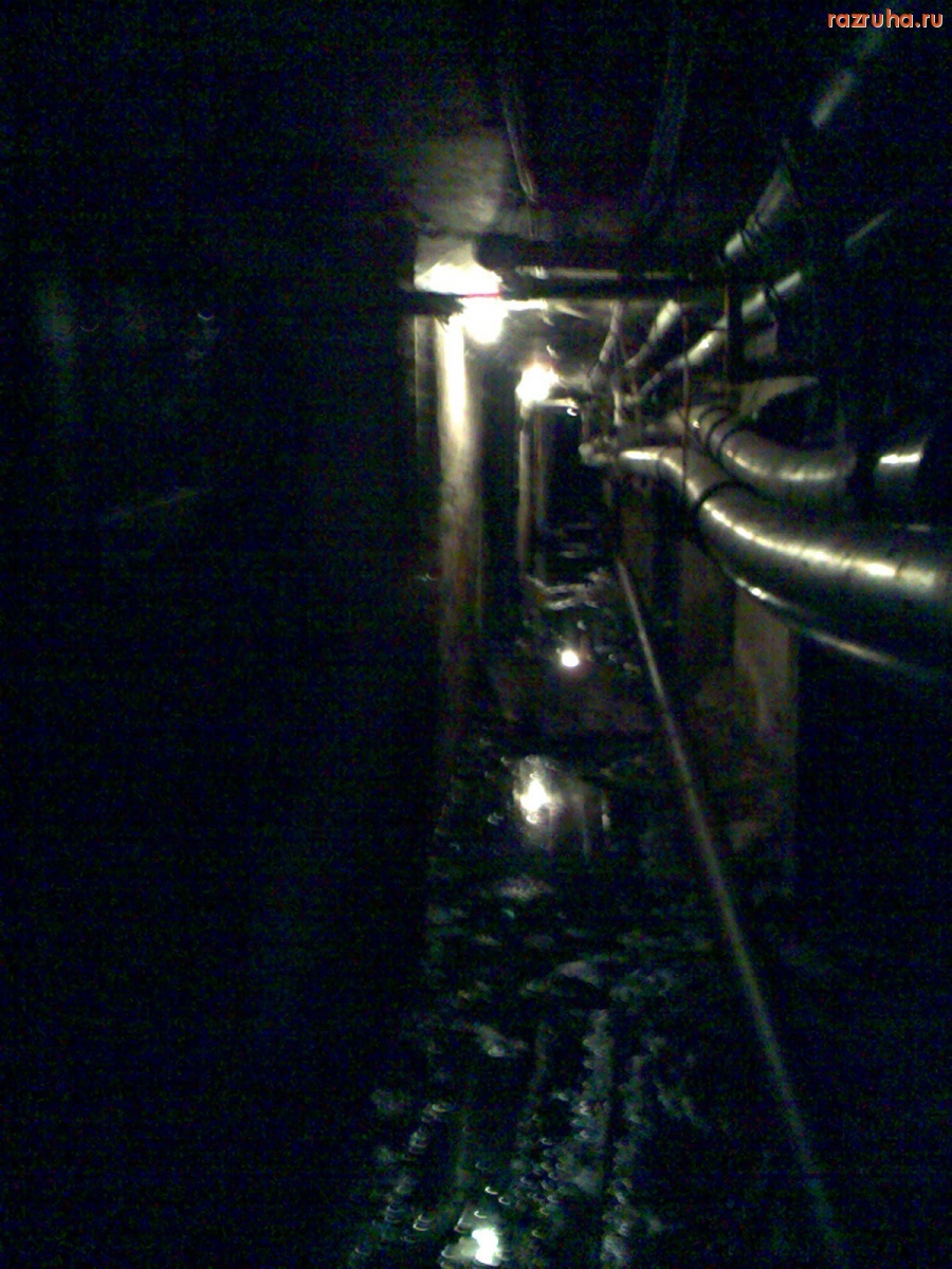 Курск - Подвальная месть