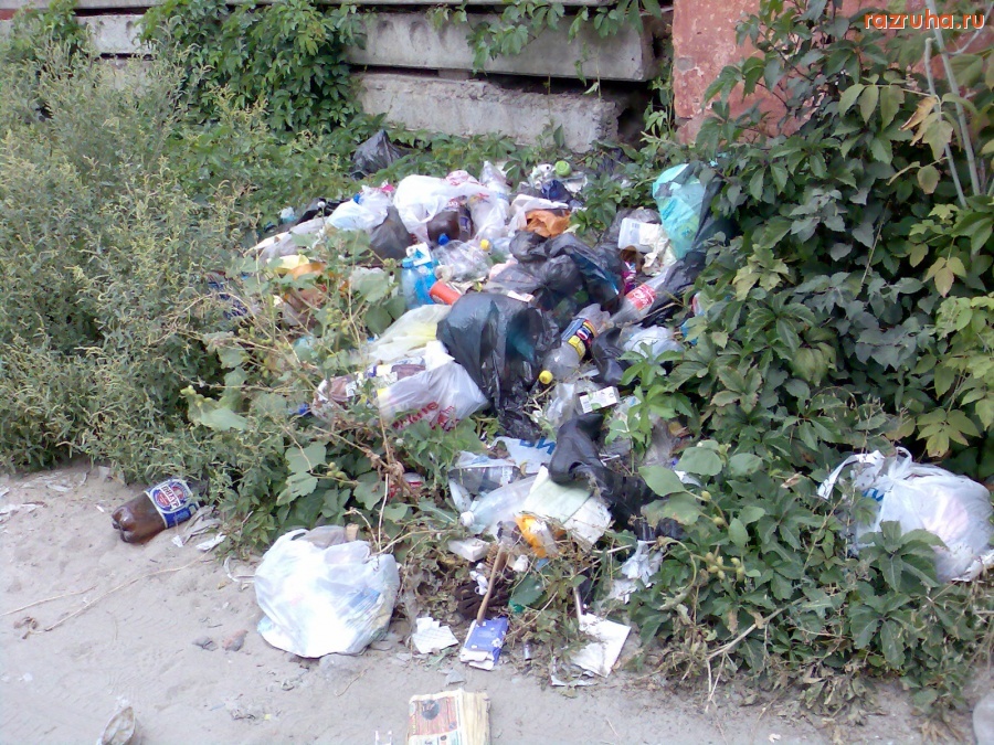 Курск - В траве мусор не скрылся