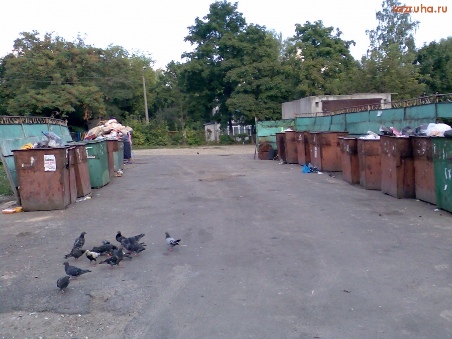 Курск - Большая помойка