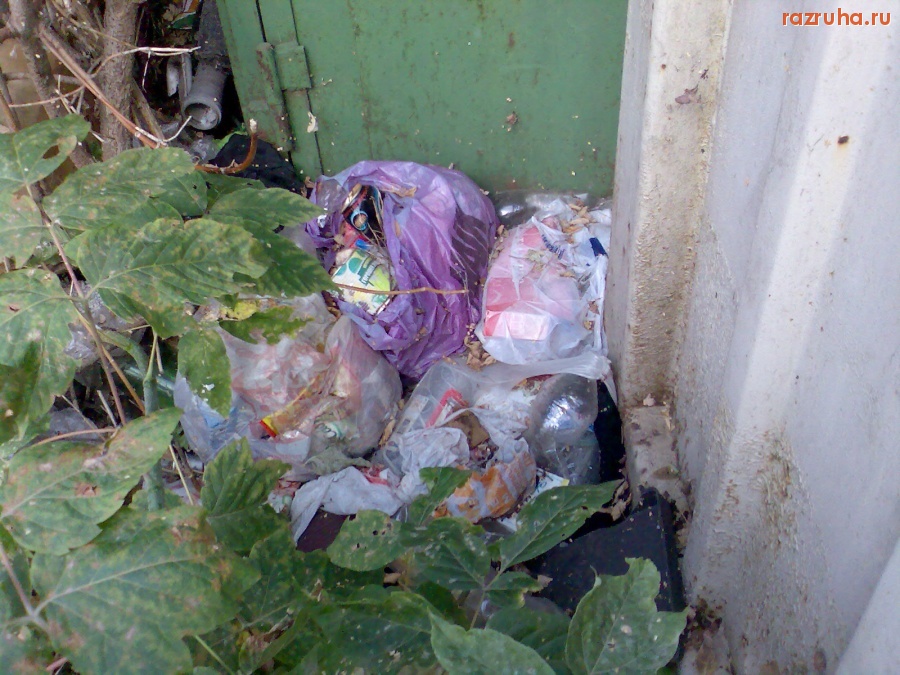 Курск - Мусорное разнообразие