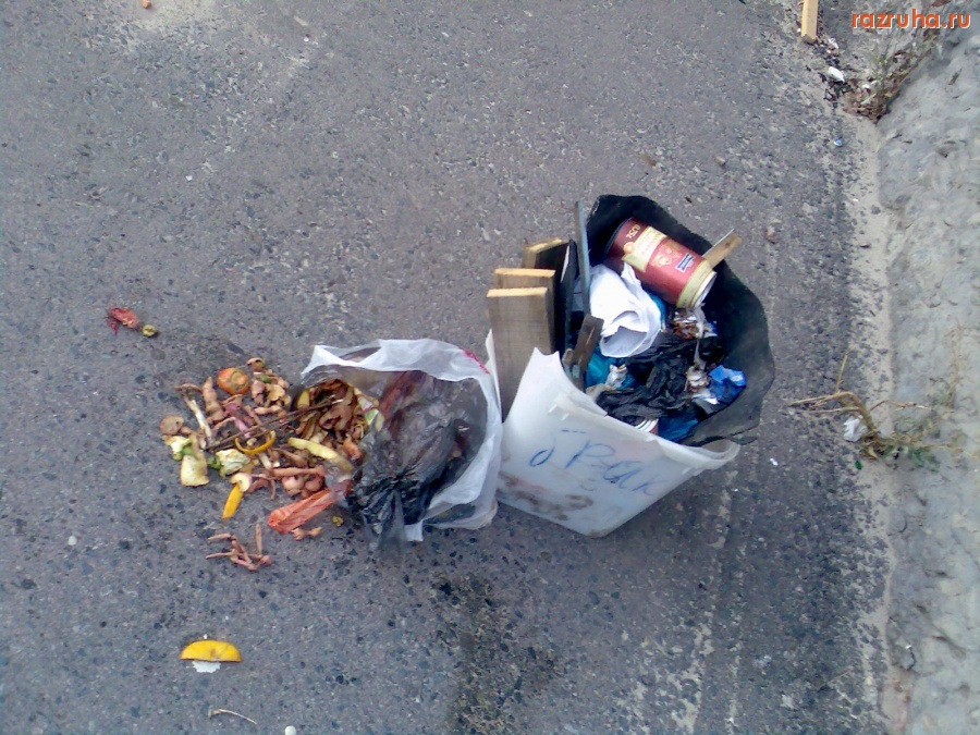 Курск - Маленький наполнился