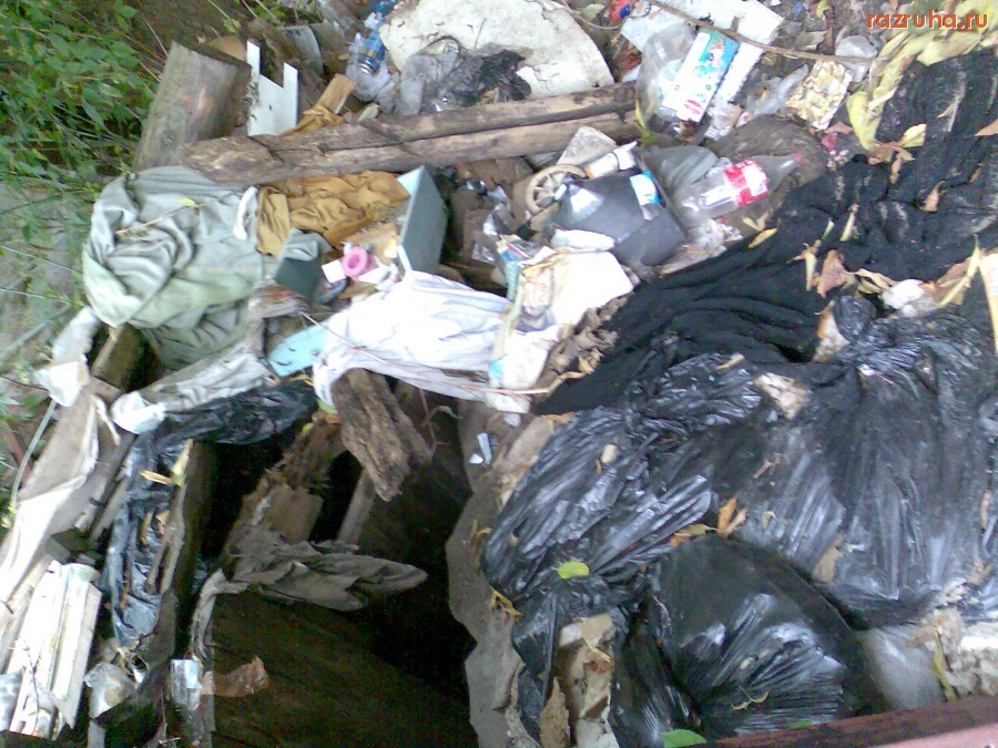 Курск - Во дворе покинутого дома