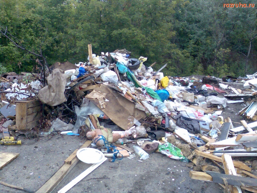 Курск - Свалка в глухих лесах Железнодорожного округа