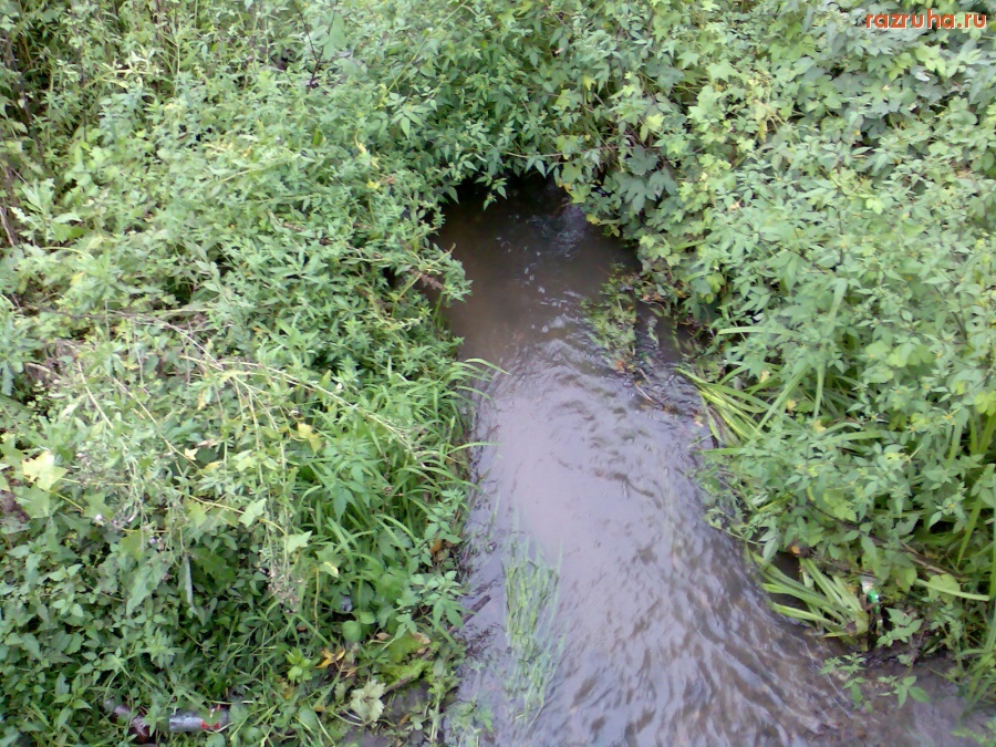 Курск - Река Кур