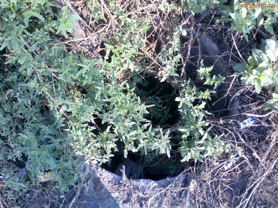 Курск - Люк - ловушка для людей!