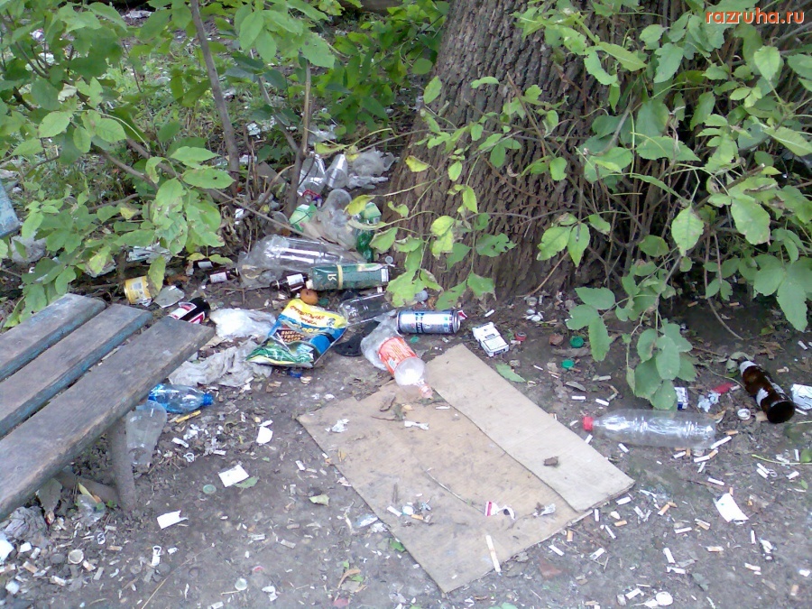 Курск - У лавочки