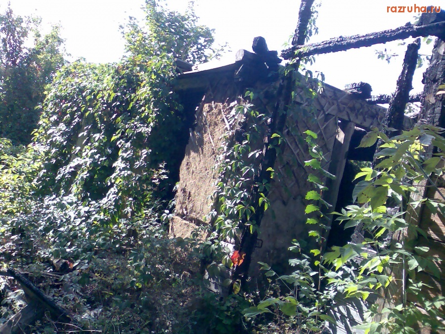 Курск - Возле заправки спрятался