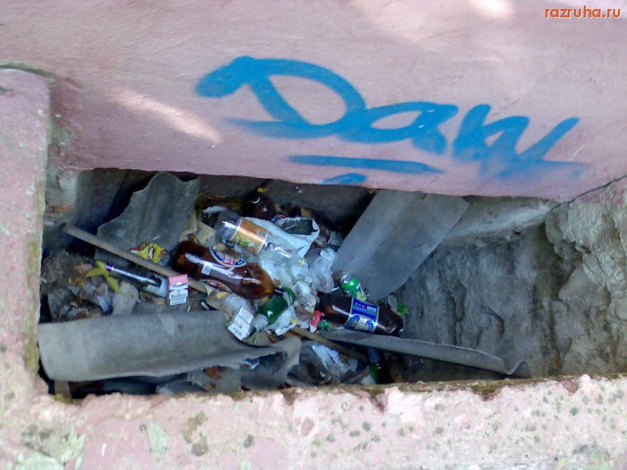 Курск - Прямо перед окнами цокаля