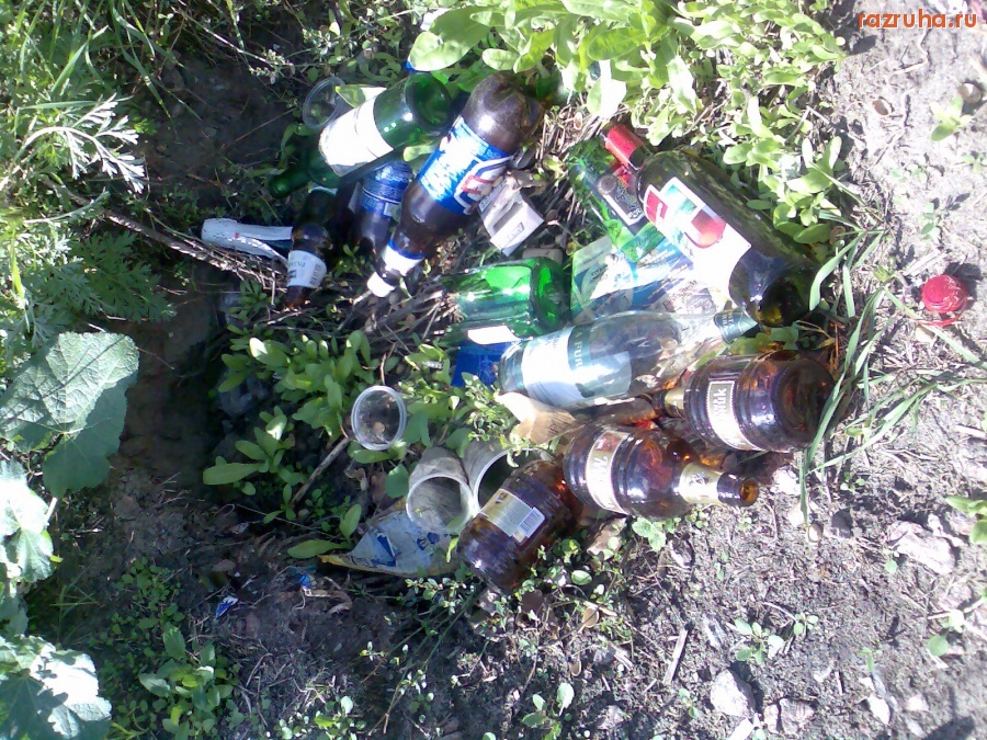 Курск - Возле Линии