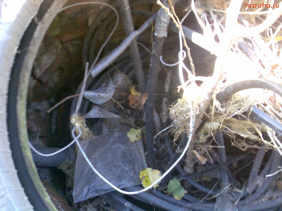 Курск - Люк открытый