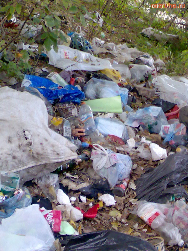 Курск - Мусор возле парка ВЛКСМ