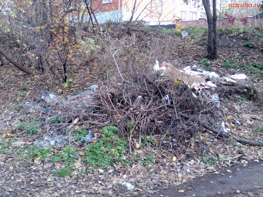 Курск - Кучка - не убрали