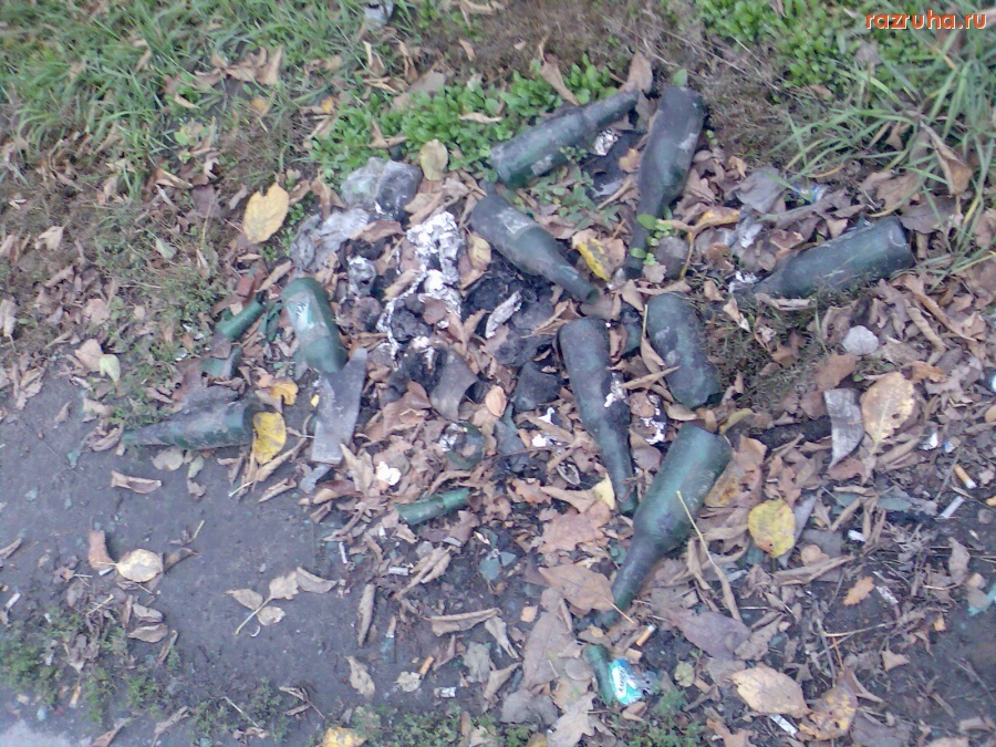 Курск - Бутылки