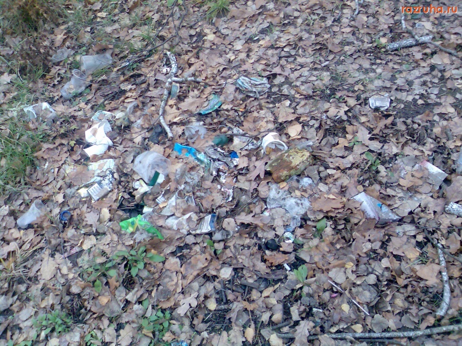 Курск - Мусор в лесу на Северо-Западе