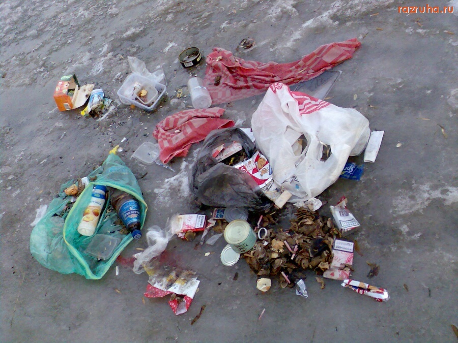 Курск - Чистота