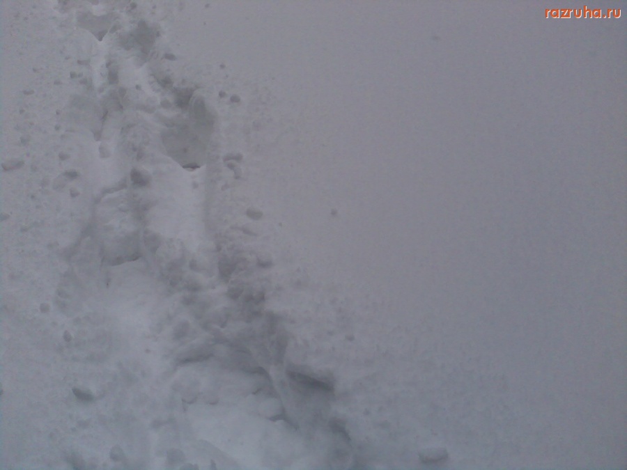 Курск - Снег от снегопада