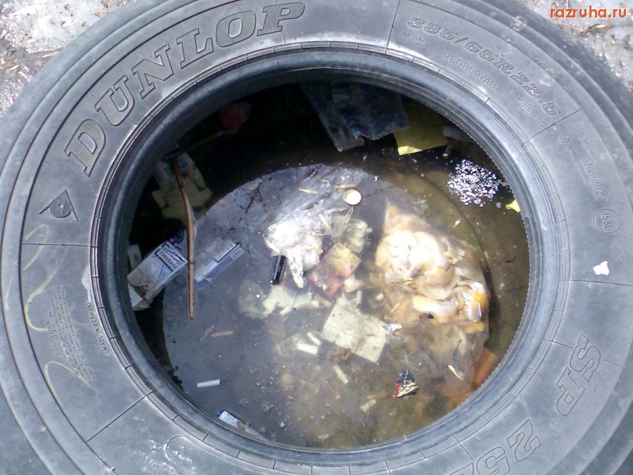 Курск - Нанопруд загадился