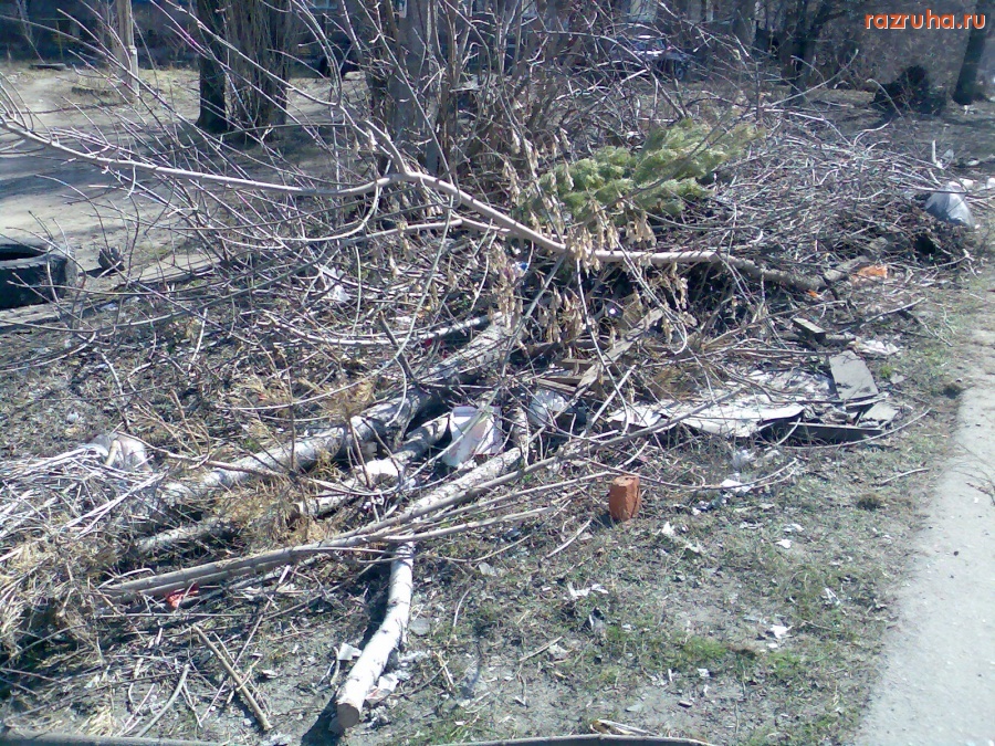 Курск - 3 Шоссейный переулок и помойка возле него
