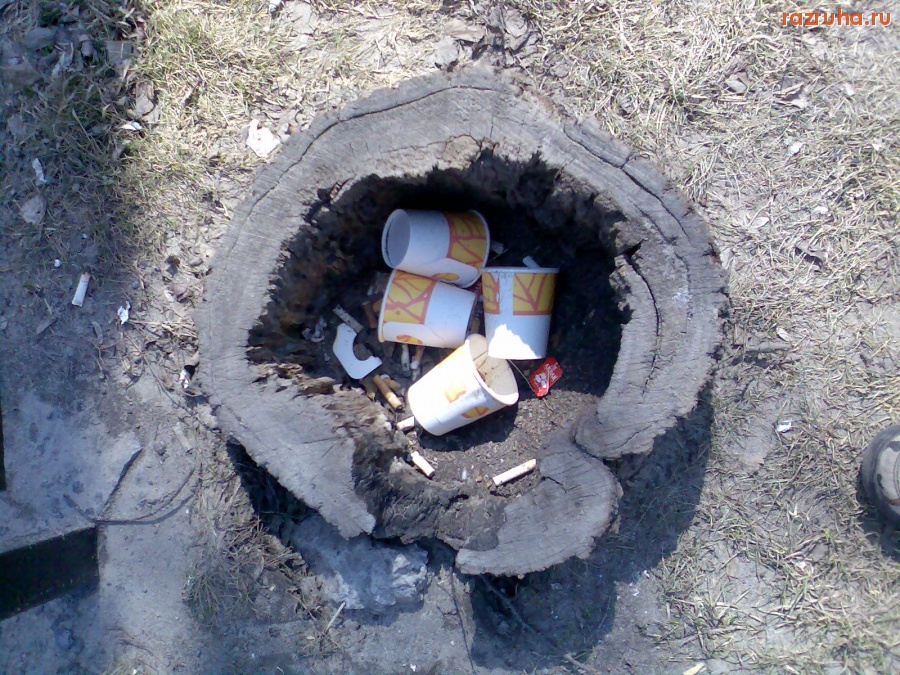 Курск - Пень на Ленина