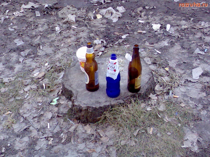 Курск - Пенёк на Золотой