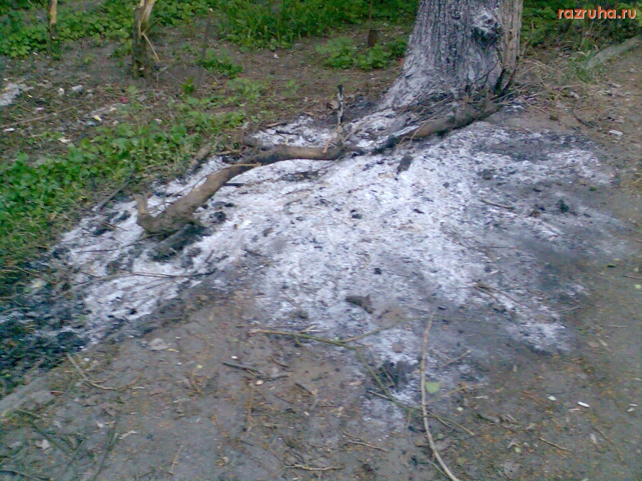 Курск - От костра