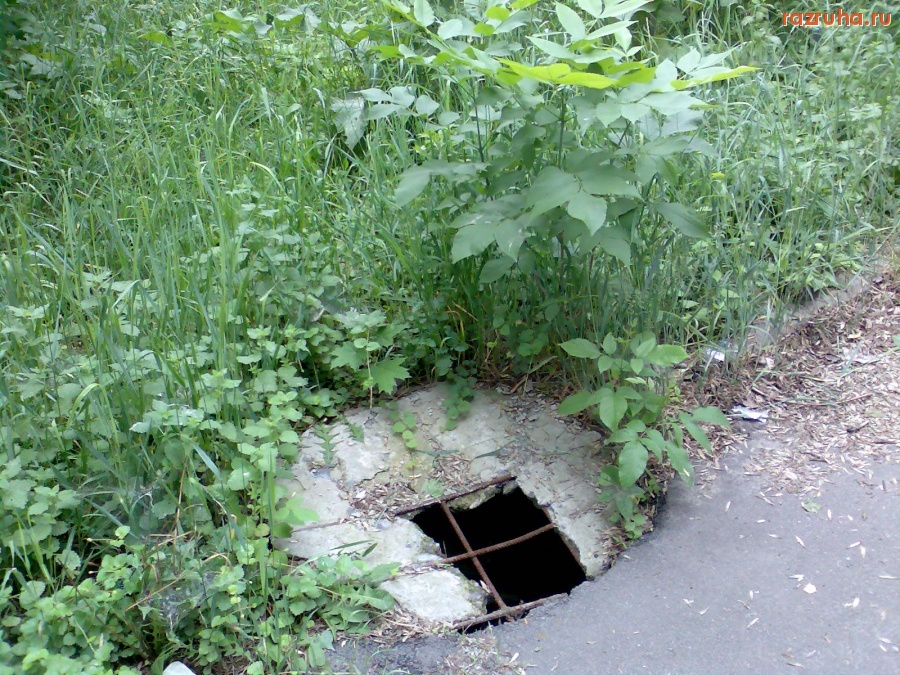 Курск - Люк на Ерёмина