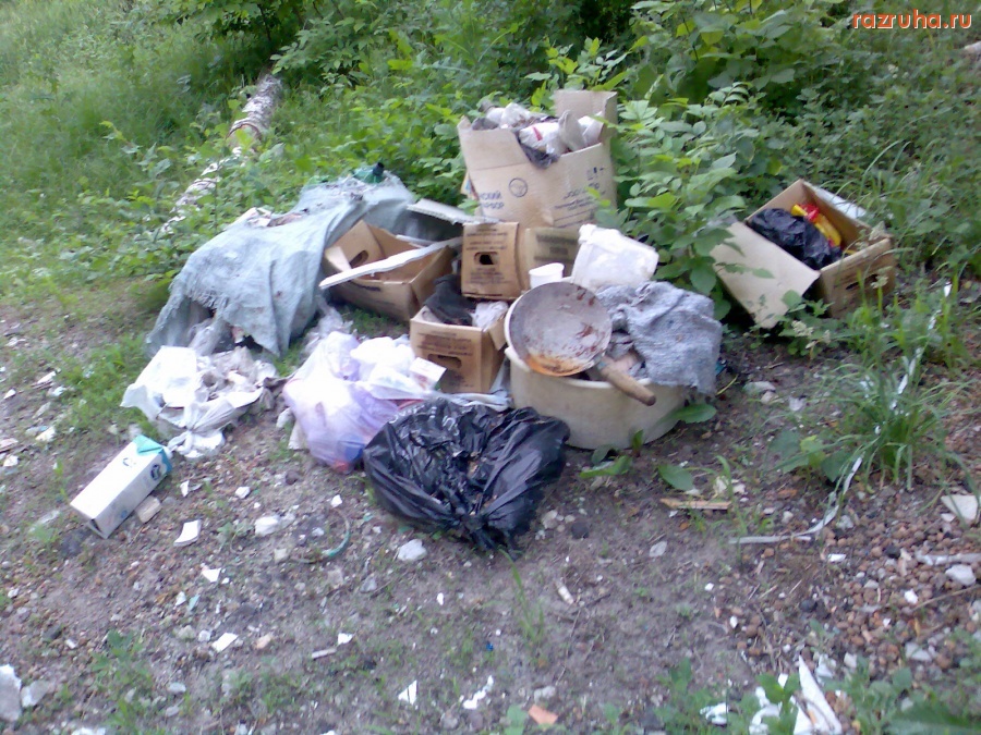 Курск - Во дворе общежития