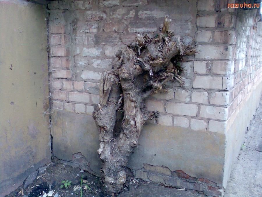 Курск - Подпирает