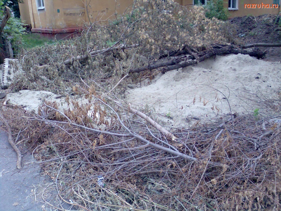 Курск - Ветки сложили