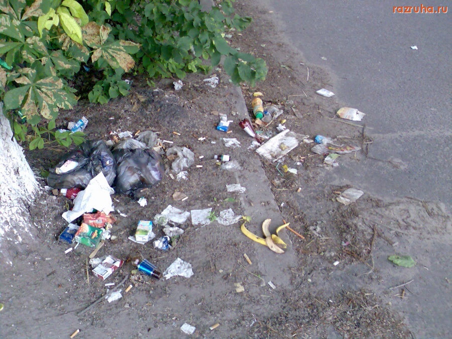 Курск - Мусор у дороги