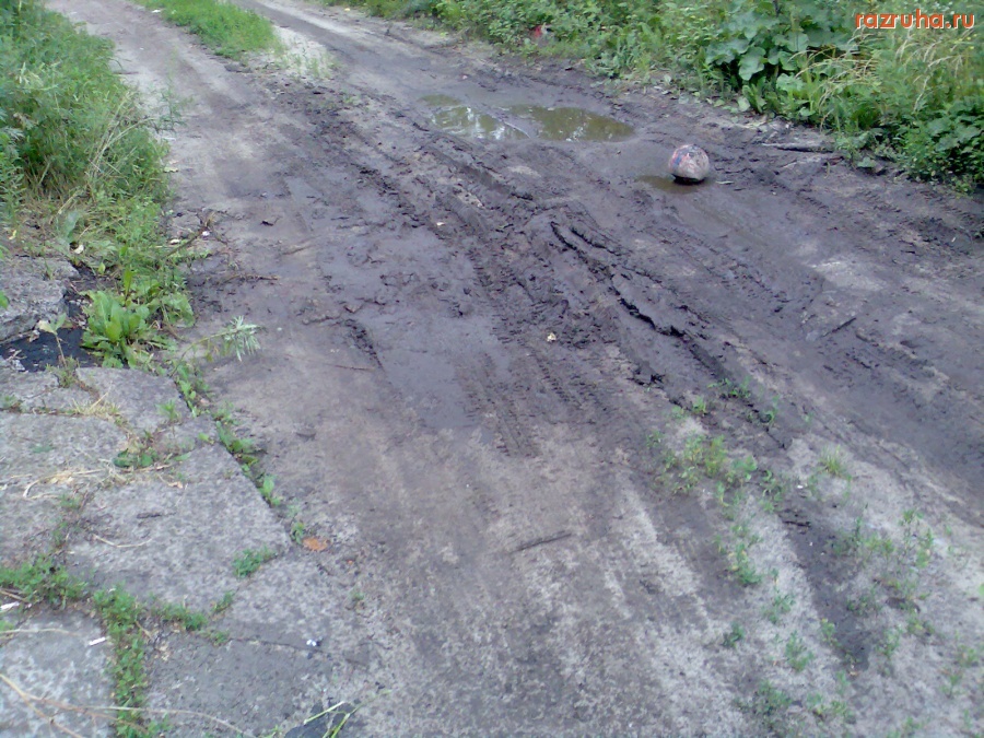 Курск - Прочее