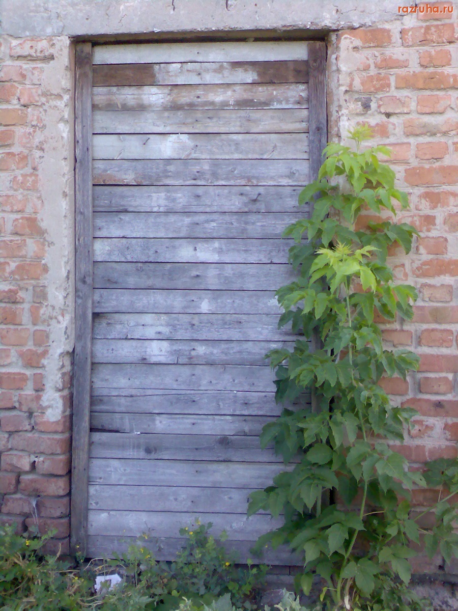 Курск - Дверь была