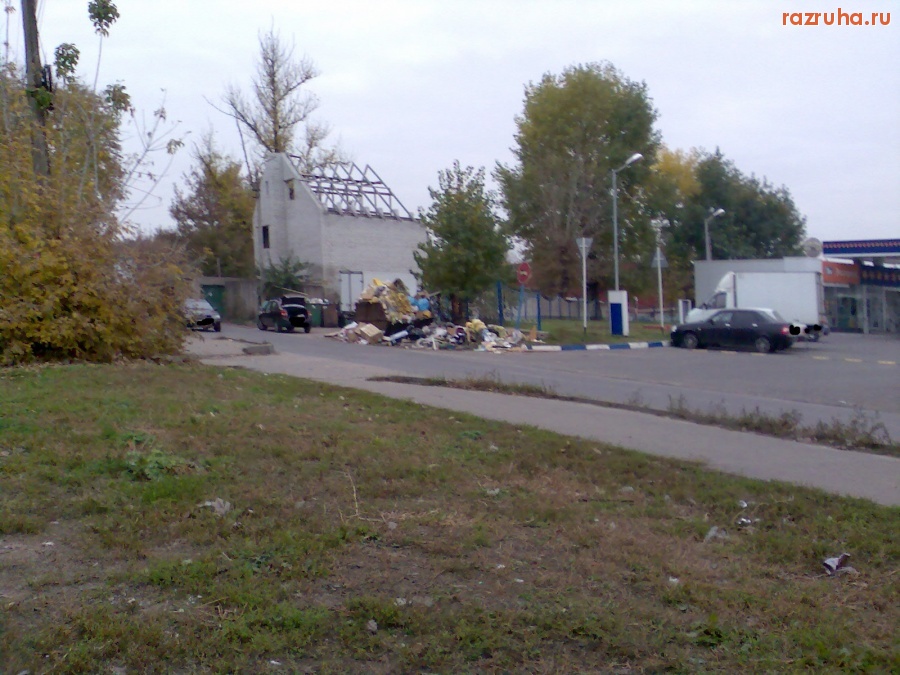 Курск - Мелкое свинство