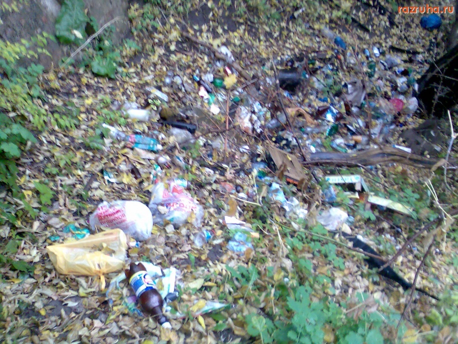 Курск - Мусор в кустах