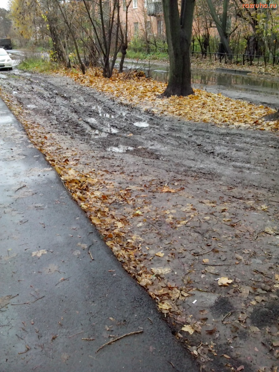 Курск - Улица Энергетиков, 13. Газон перед домом.