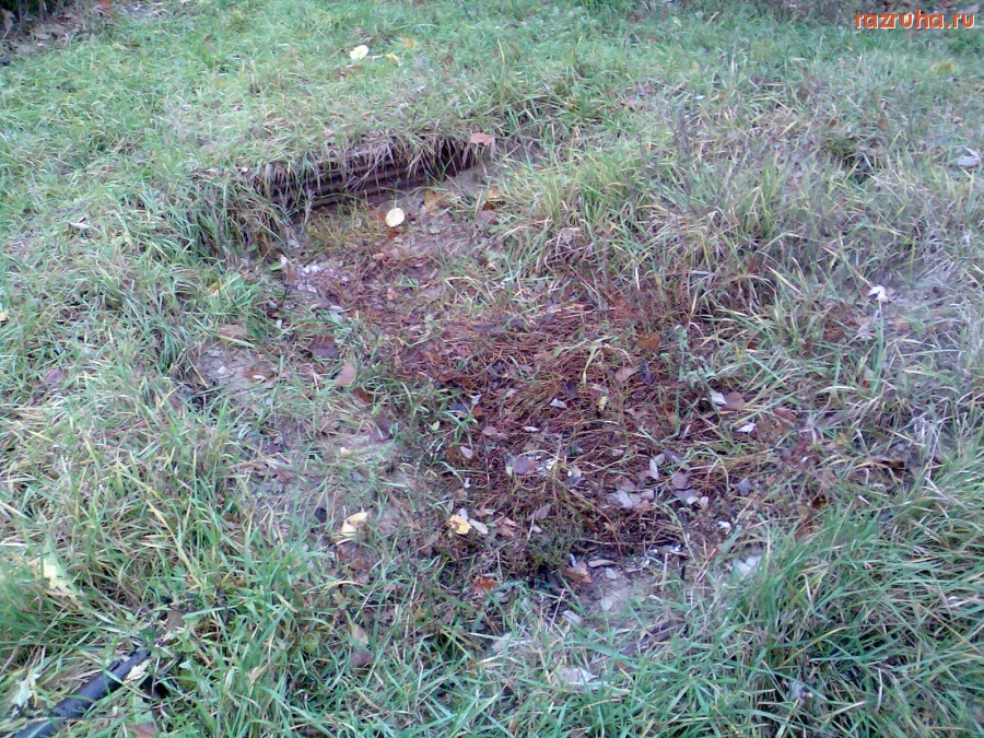 Курск - Песочница