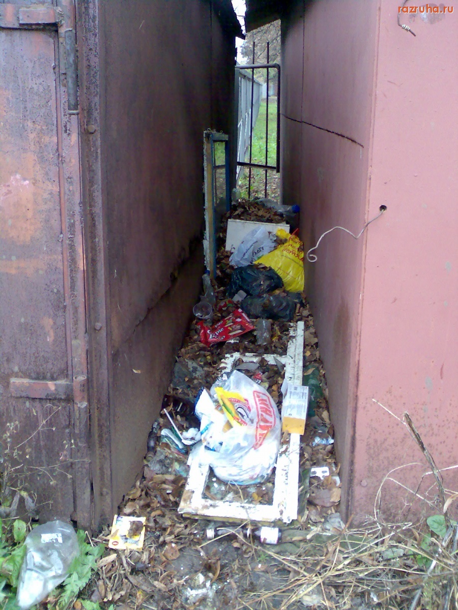 Курск - Мелкое свинство 2