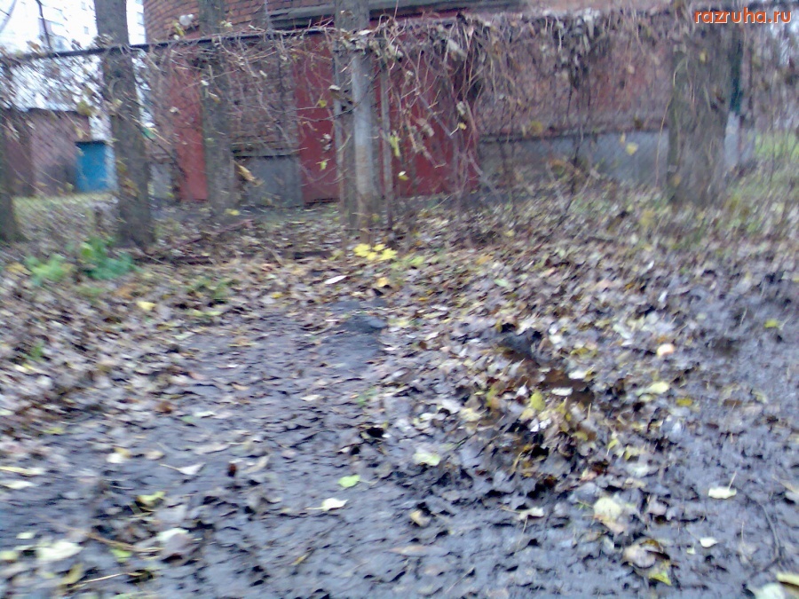 Курск - Прогулка по ветхому району