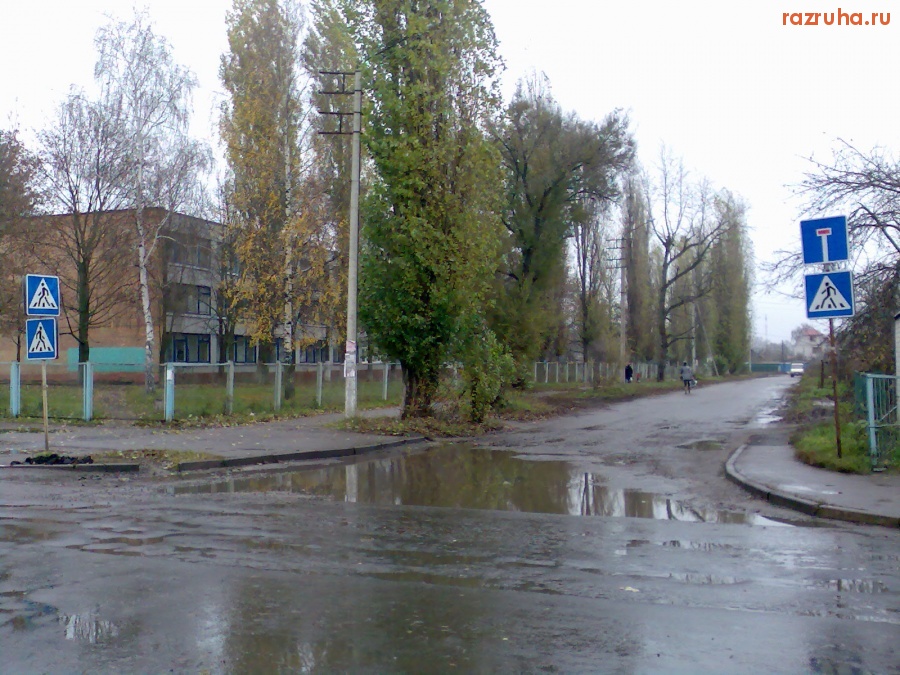 Курск - Лужа на переходе