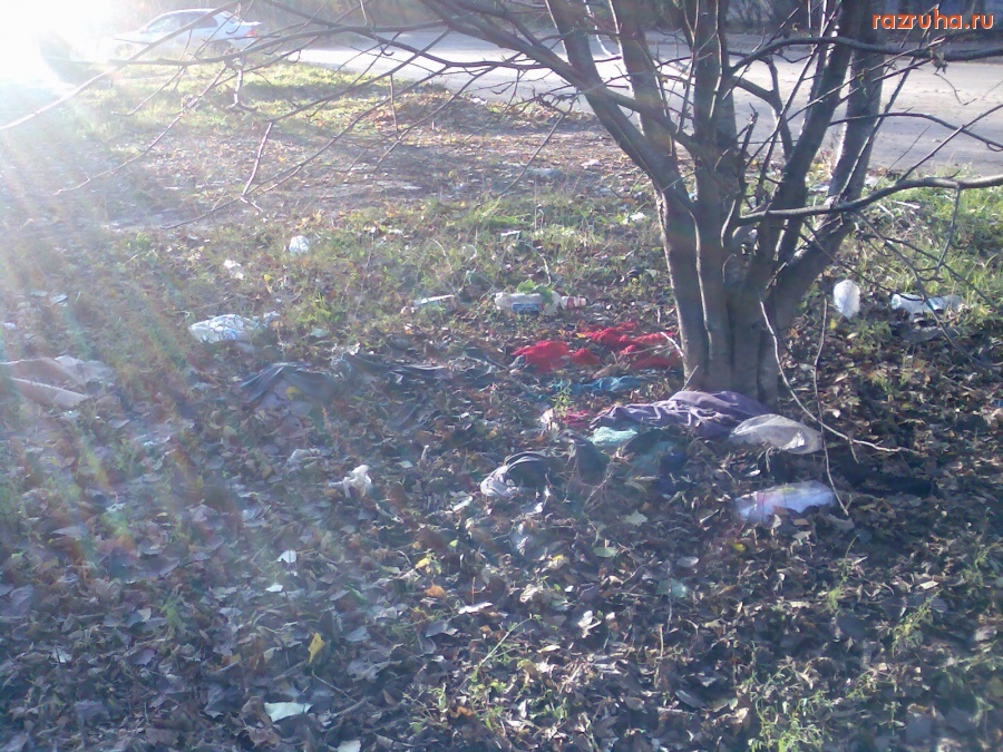 Курск - Не очень чисто