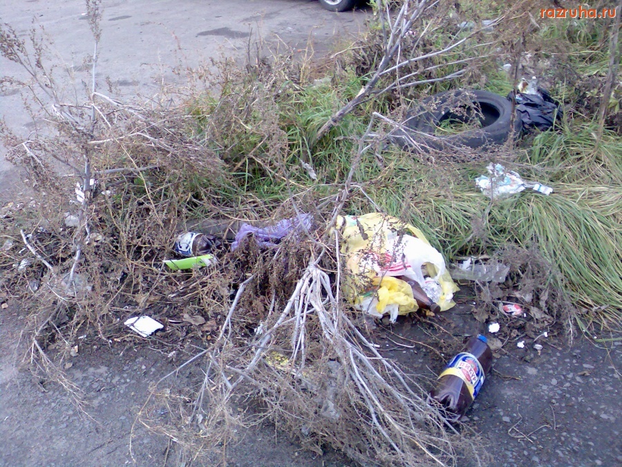 Курск - Ещё помойка на Магистральном
